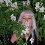 E, 60