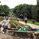 Алексей, 56