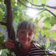 ��������, 42