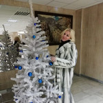 Nome, 50