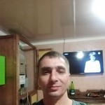 , 41